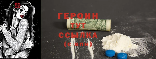 spice Богородицк