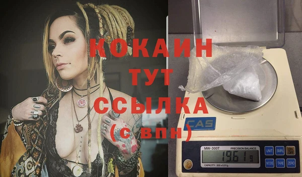 альфа пвп Бородино