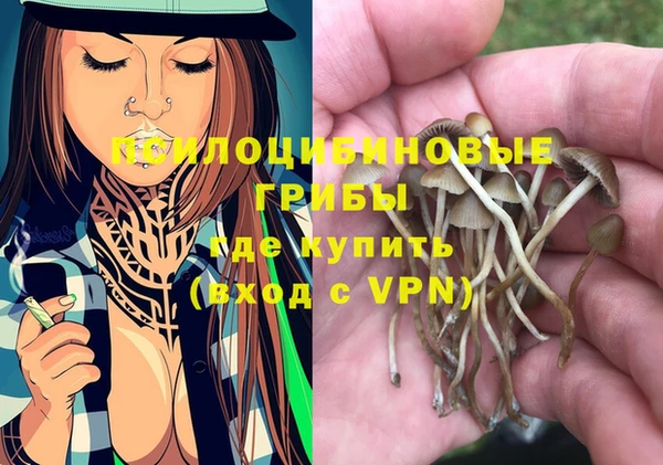кокс Богородск
