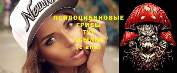 МДПВ Бугульма