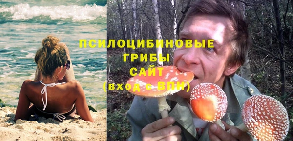 альфа пвп Бородино