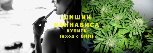 МДПВ Бугульма